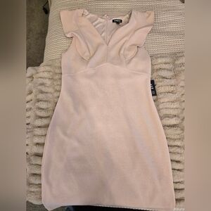 Express Pink Fall Dress
